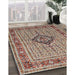 Traditional Tan Brown Medallion Rug in Family Room, tr1418