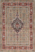 Machine Washable Traditional Tan Brown Rug, wshtr1418