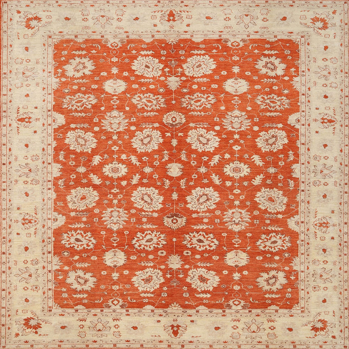 Square Traditional Brown Oriental Rug, tr1423