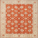 Square Traditional Brown Oriental Rug, tr1423