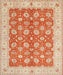 Machine Washable Traditional Brown Rug, wshtr1423