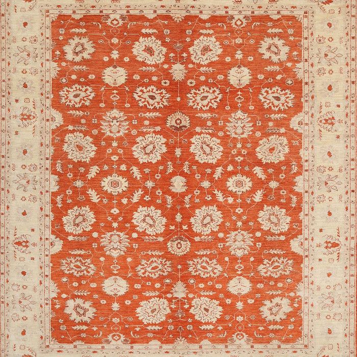 Traditional Brown Oriental Rug, tr1423