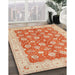 Machine Washable Traditional Brown Rug in a Family Room, wshtr1423