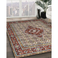 Traditional Light French Beige Brown Medallion Rug, tr1427