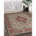 Traditional Light French Beige Brown Medallion Rug in Family Room, tr1427