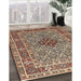 Traditional Light French Beige Brown Persian Rug in Family Room, tr1428