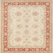 Square Traditional Deep Peach Orange Persian Rug, tr1433