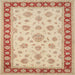 Square Traditional Brown Oriental Rug, tr1442