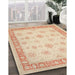 Traditional Sand Brown Oriental Rug in Family Room, tr1449