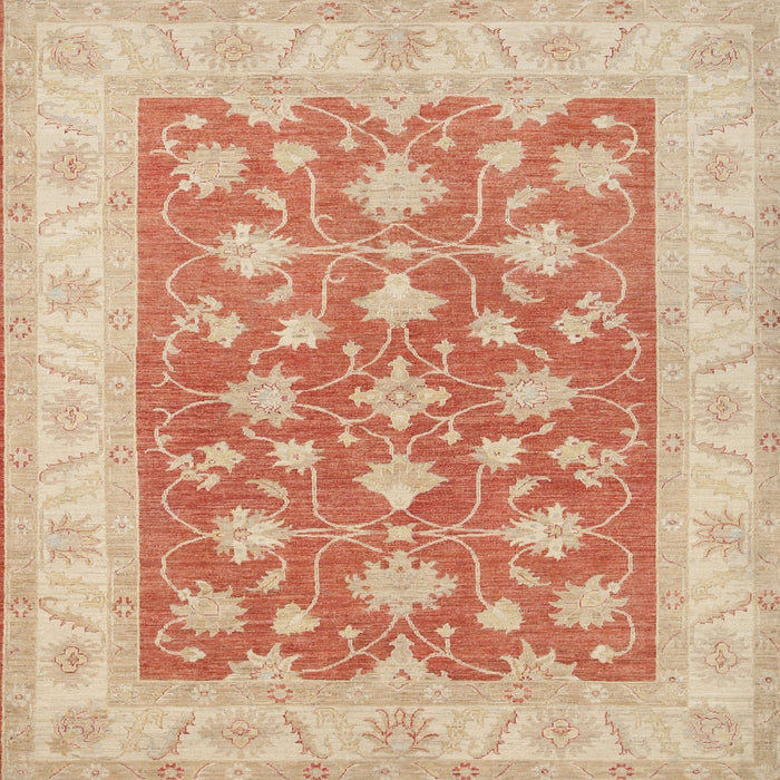 Square Traditional Brown Oriental Rug, tr1452