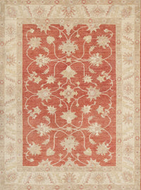 Machine Washable Traditional Brown Rug, wshtr1452