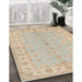 Traditional Brown Oriental Rug in Family Room, tr1453