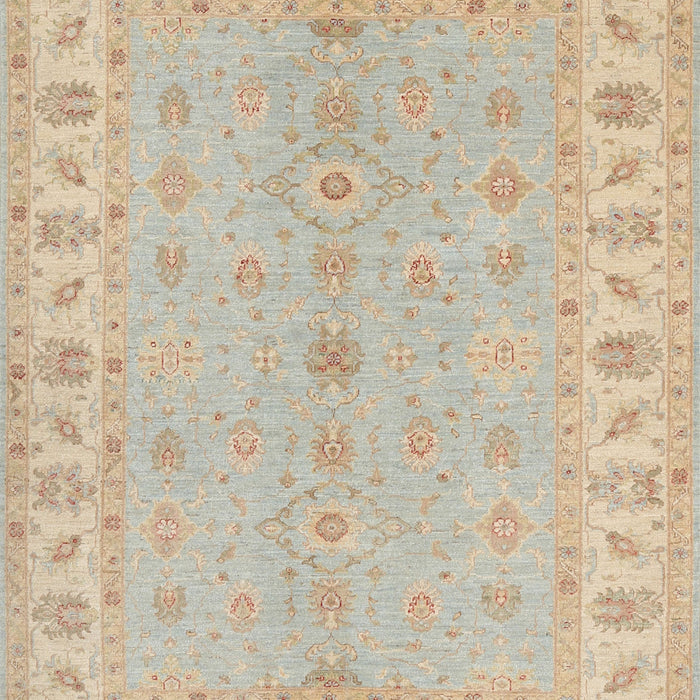 Machine Washable Traditional Brown Rug, wshtr1453