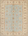 Traditional Brown Oriental Rug, tr1453