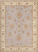 Traditional Brown Oriental Rug, tr1469