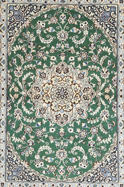 Machine Washable Traditional Pale Silver Gray Rug, wshtr1470