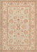 Machine Washable Traditional Brown Rug, wshtr1479