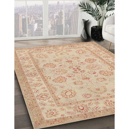 Traditional Brown Oriental Rug in Family Room, tr1479