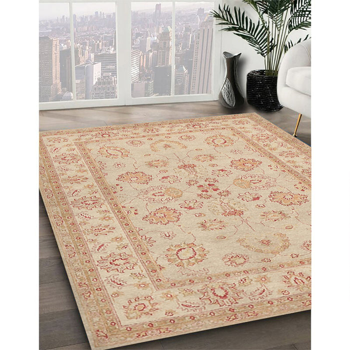 Traditional Brown Oriental Rug in Family Room, tr1479