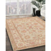 Traditional Brown Oriental Rug in Family Room, tr1479