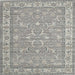 Square Traditional Granite Gray Persian Rug, tr147