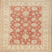 Square Traditional Brown Oriental Rug, tr1480