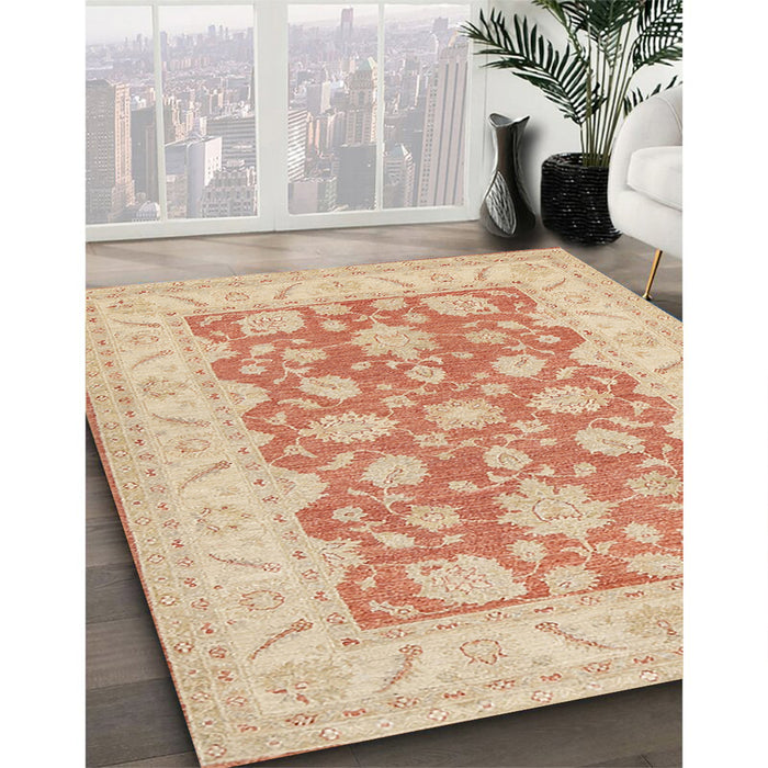 Traditional Brown Oriental Rug in Family Room, tr1480