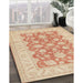 Traditional Brown Oriental Rug in Family Room, tr1480