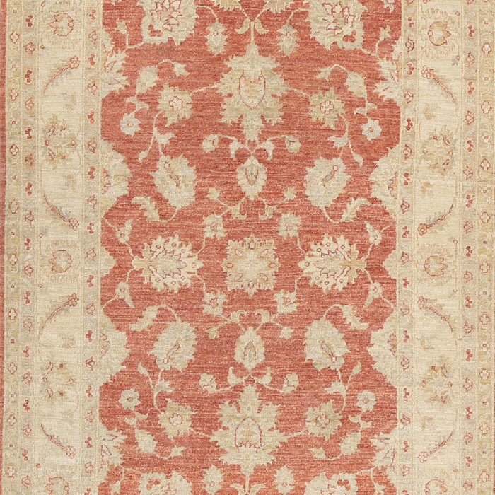 Machine Washable Traditional Brown Rug, wshtr1480