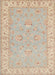 Traditional Brown Oriental Rug, tr1482