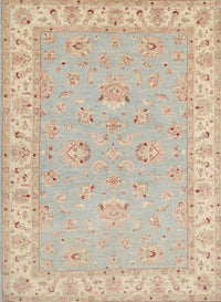 Machine Washable Traditional Brown Rug, wshtr1482