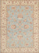 Machine Washable Traditional Brown Rug, wshtr1482