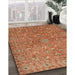 Machine Washable Traditional Red Rug in a Family Room, wshtr1496