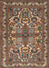 Traditional Camel Brown Persian Rug, tr1501