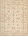 Traditional Khaki Gold Oriental Rug, tr1506