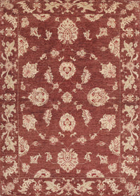 Machine Washable Traditional Orange Rug, wshtr1507