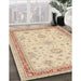 Traditional Brown Gold Oriental Rug in Family Room, tr1517