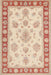 Traditional Deep Peach Orange Oriental Rug, tr1518