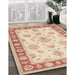 Traditional Deep Peach Orange Oriental Rug in Family Room, tr1518