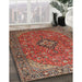 Traditional Red Medallion Rug in Family Room, tr1519