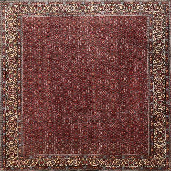 Square Traditional Dark Gold Brown Persian Rug, tr1524