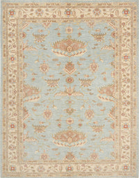 Machine Washable Traditional Desert Sand Beige Rug, wshtr1526