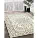 Traditional Champagne Beige Medallion Rug in Family Room, tr153