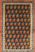 Machine Washable Traditional Bronze Brown Rug, wshtr1545