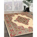 Machine Washable Traditional Brown Gold Rug in a Family Room, wshtr1546