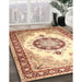 Traditional Brown Gold Medallion Rug in Family Room, tr1547