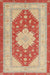 Machine Washable Traditional Fire Red Rug, wshtr1558