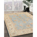 Traditional Light French Beige Brown Oriental Rug in Family Room, tr1560