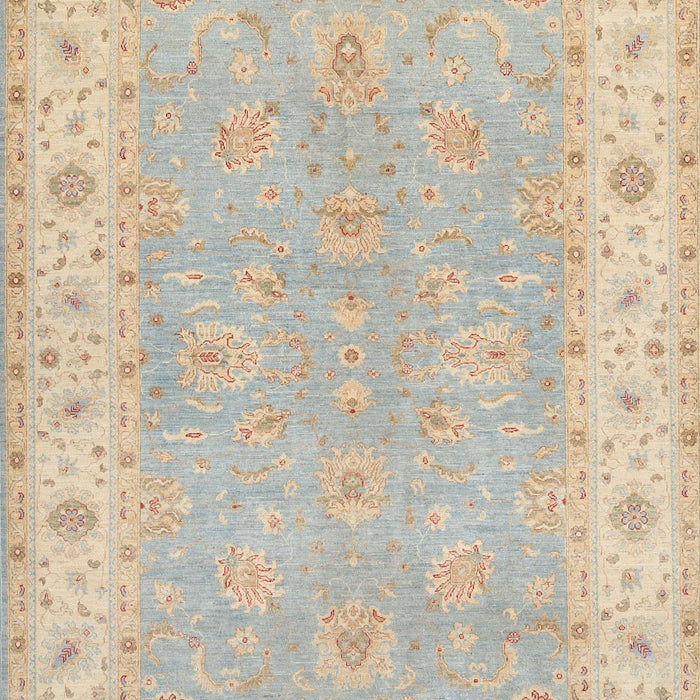 Machine Washable Traditional Light French Beige Brown Rug, wshtr1560