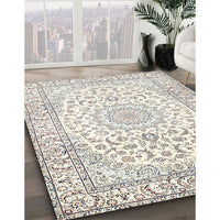 Traditional Champagne Beige Medallion Rug, tr156